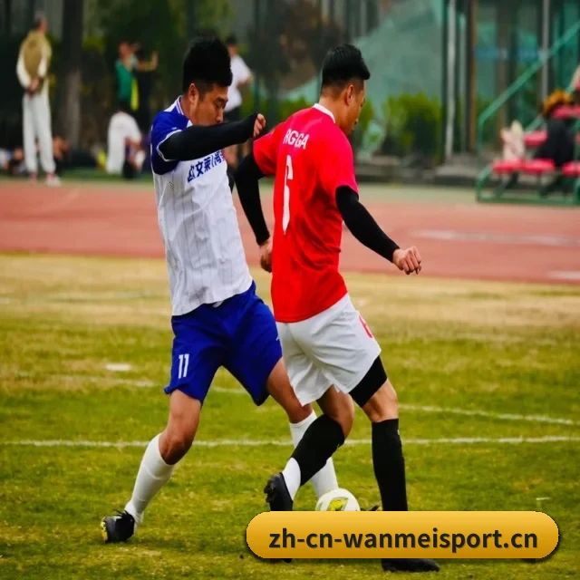 五大体育板块覆盖,从比分到直播全覆盖